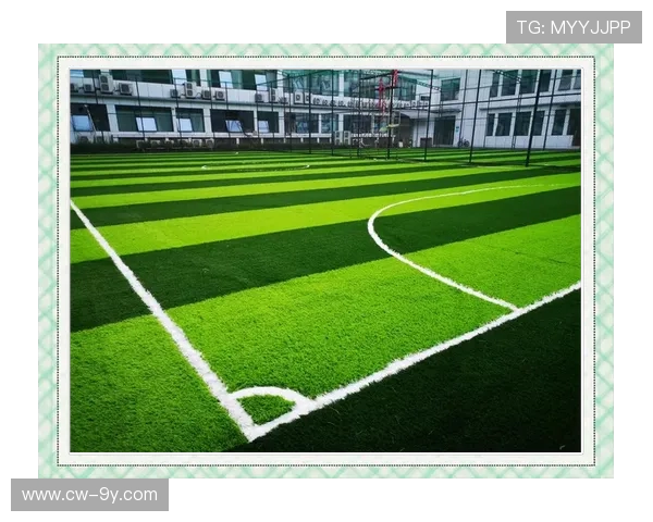 创意自制足球场整体规划与功能布局深入探讨方案设计实践全程指南 创意自制足球场整体规划与功能布局深入探讨方案设计实践全程指南